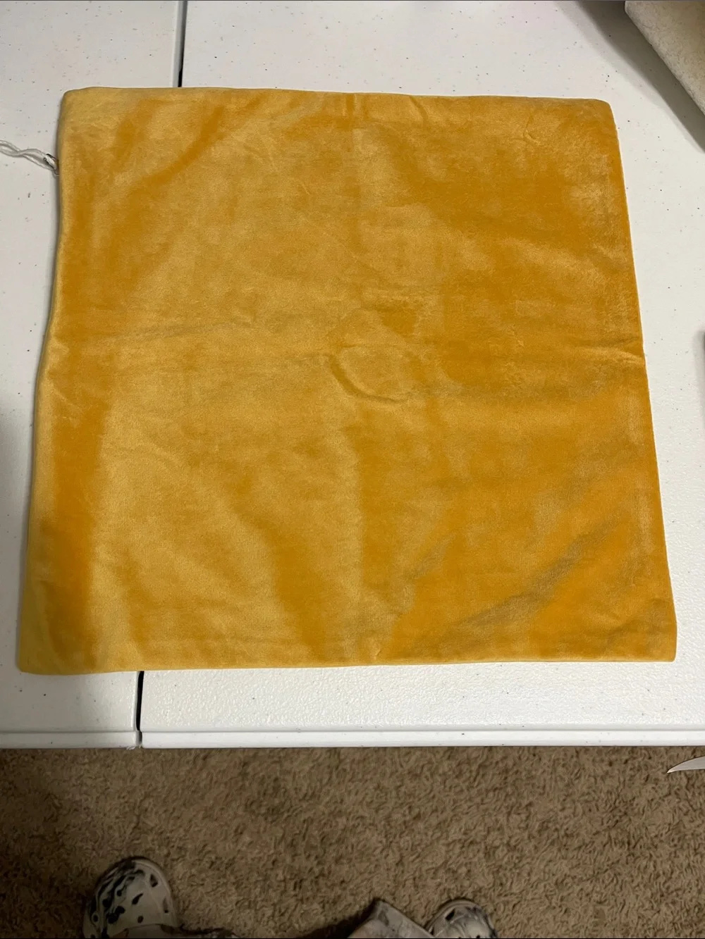 Plush Velvet Accent Pillow Cover in Mustard Yellow
